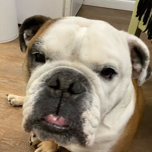 Meet your Posher, Cassie